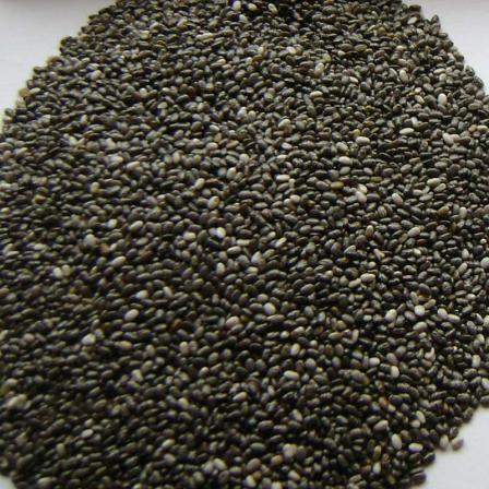 خرید و قیمت تخم شربتی