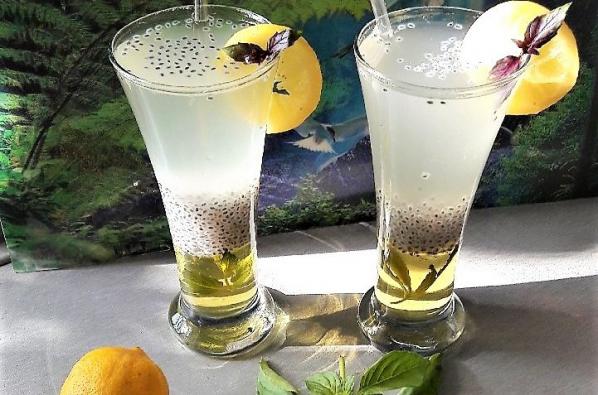 پخش عمده تخم شربتی در کشور