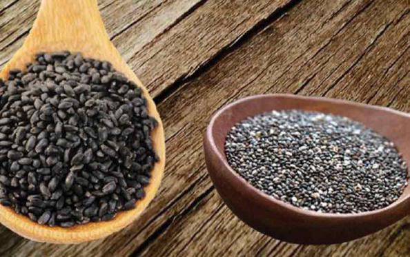 نمایندگی پخش تخم شربتی وارداتی