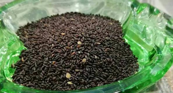 ارائه کننده بهترین برند تخم شربتی درشت در تهران