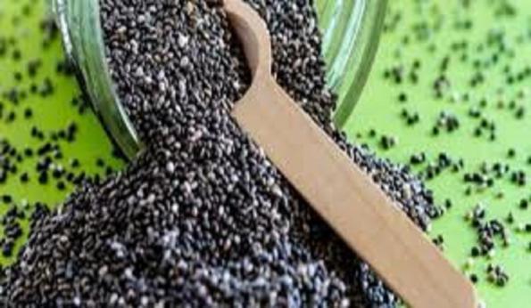 بازار فروش تخم ریحان شربتی ریز و درشت 