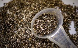 فروش عمده تخم شربتی