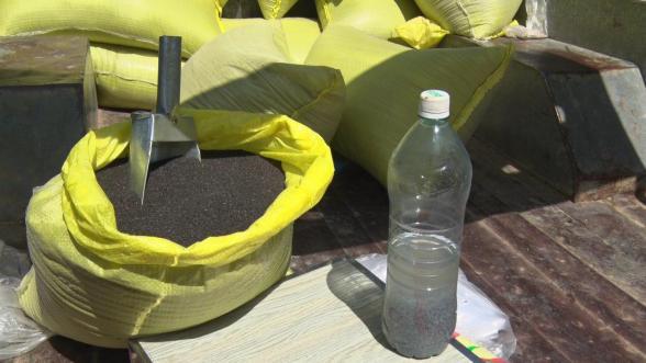 بازار فروش انواع تخم شربتی 