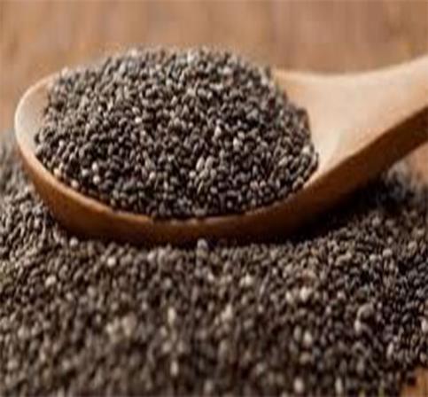 فروش عمده تخم شربتی