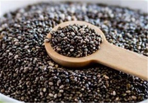 مرکز خرید و فروش تخم شربتی اصل