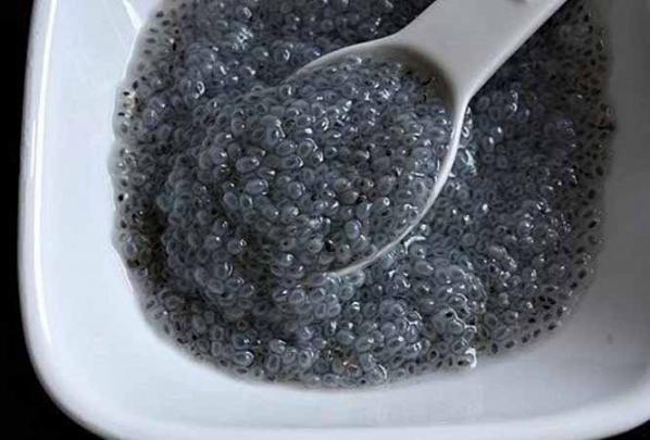 فواید استفاده از تخم شربتی