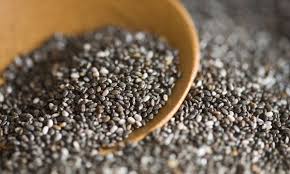 تولید و پخش تخم بالنگو شهری