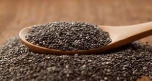 تولید تخم بالنگو