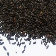 قیمت عمده تخم بالنگو