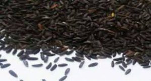 فروشگاه اینترنتی تخم بالنگو سیاه