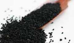 تخم بالنگو پودری