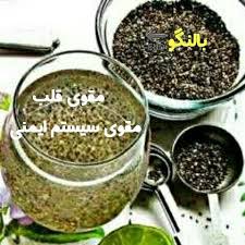 پخش انواع تخم بالنگو