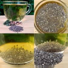 تولید عمده تخم بالنگو