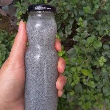 خرید انواع تخم بالنگو