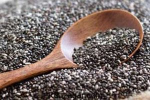 پخش عمده تخم بالنگو