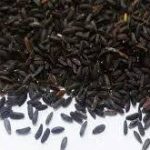 تخم بالنگو شهری