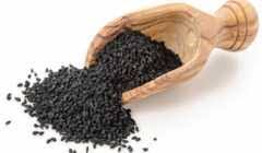 تخم بالنگو درمانی