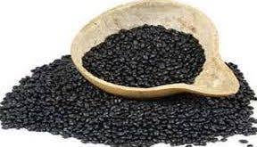 تخم بالنگو صادراتی