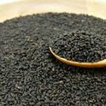 فروش عمده بهترین تخم بالنگو