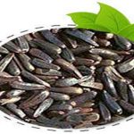 قیمت ویزه تخم بالنگو