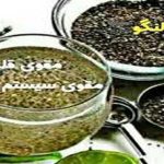 دانه بالنگو