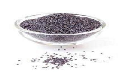 دانه بالنگو