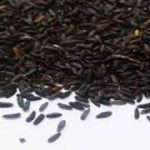 تخم بالنگو سیاه