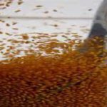 فروشگاه اینترنتی خاکشیر