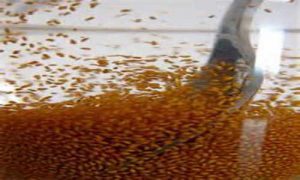 فروشگاه اینترنتی خاکشیر