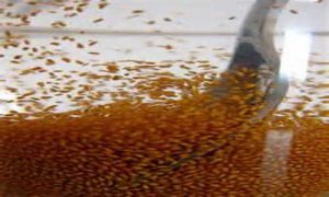 فروشگاه اینترنتی خاکشیر