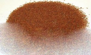 نمایندگی فروش تخم خاکشیر