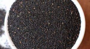 تخم بالنگو در کشور