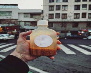 قیمت خرید خاکشیر