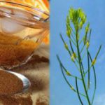 قیمت هر کیلو خاکشیر