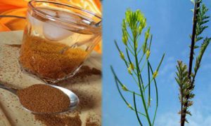 قیمت هر کیلو خاکشیر