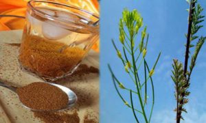 قیمت هر کیلو خاکشیر