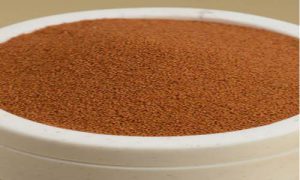 فروش خاکشیر در شیراز