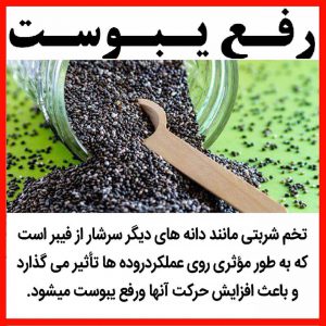 قیمت تخم بالنگو