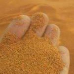 خرید و فروش اینترنتی خاکشیر