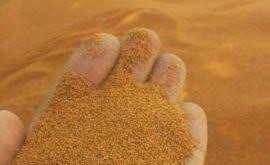 خرید و فروش اینترنتی خاکشیر