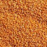 خرید و فروش خاکشیر