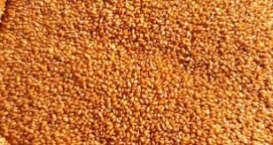 خرید و فروش خاکشیر