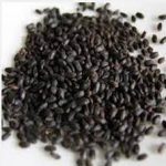 قیمت تخم بالنگو ایرانی