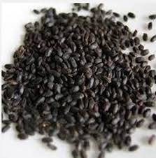 قیمت تخم بالنگو ایرانی