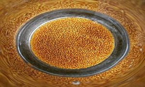 خرید خاکشیر ایران