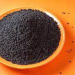 فروش تخم بالنگو