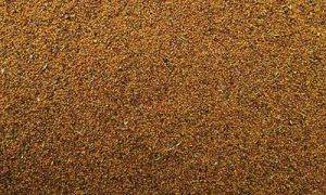 فروش خاکشیر