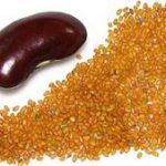 فروش خاکشیر در شیراز