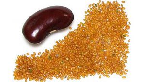 فروش خاکشیر در شیراز