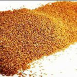 فروش خاکشیر مرغوب